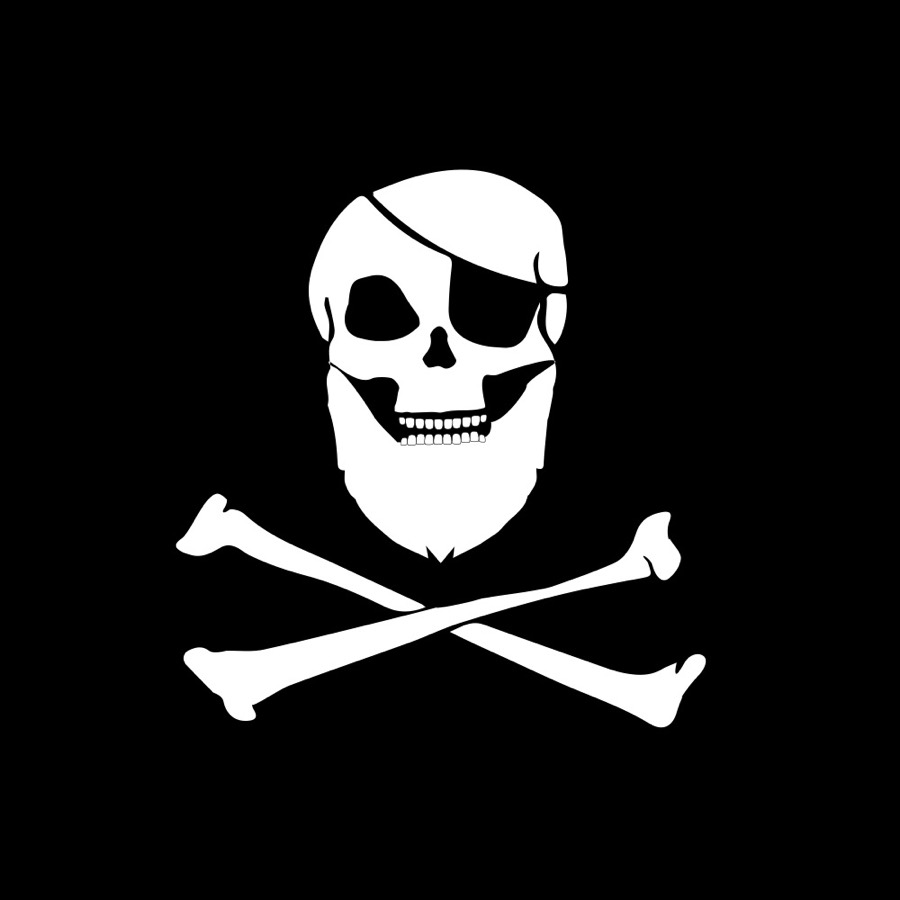 Die Piratentum-Bildmarke allein, wie sie als Instagram-Profilbild verwendet wird