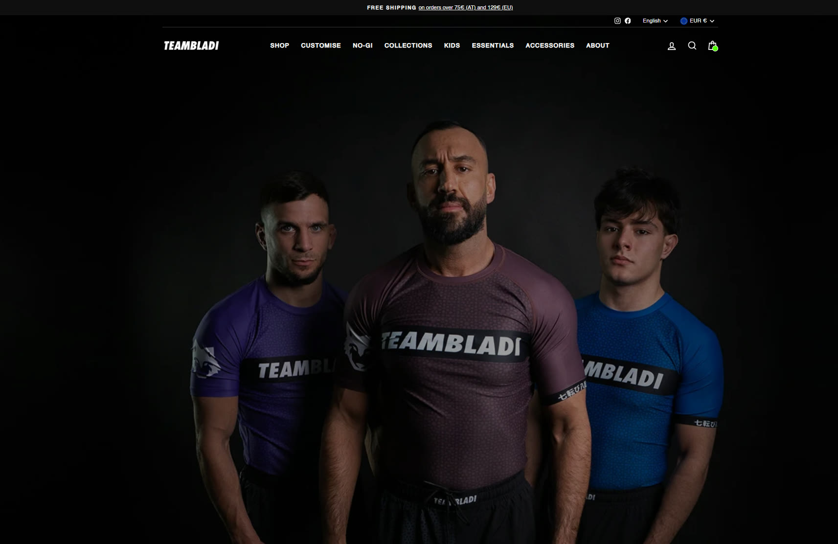 TEAMBLADI project