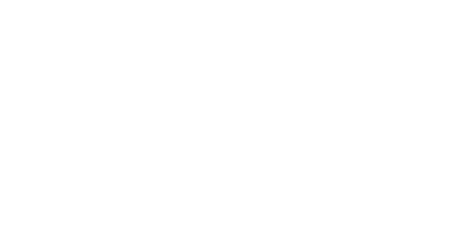 CEC — Combat Elite Championship Logo