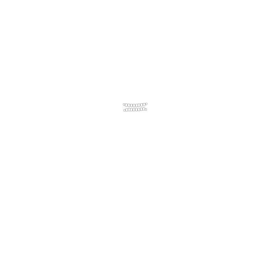 Das Piratentum Logo