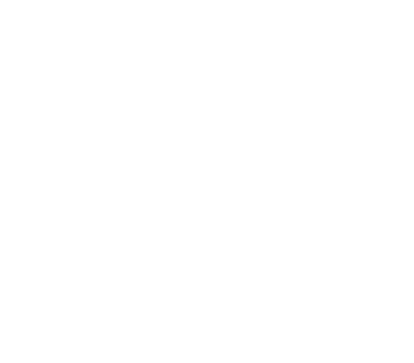 Wächter Group Logo